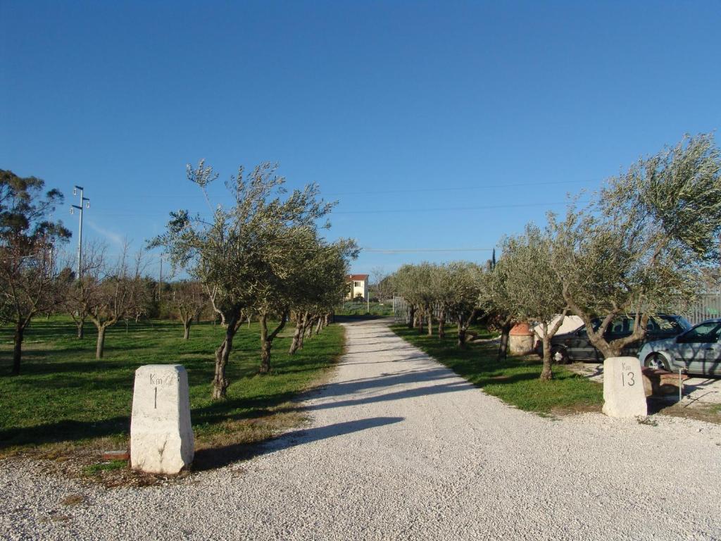 Podere 1248 Ladispoli Eksteriør billede