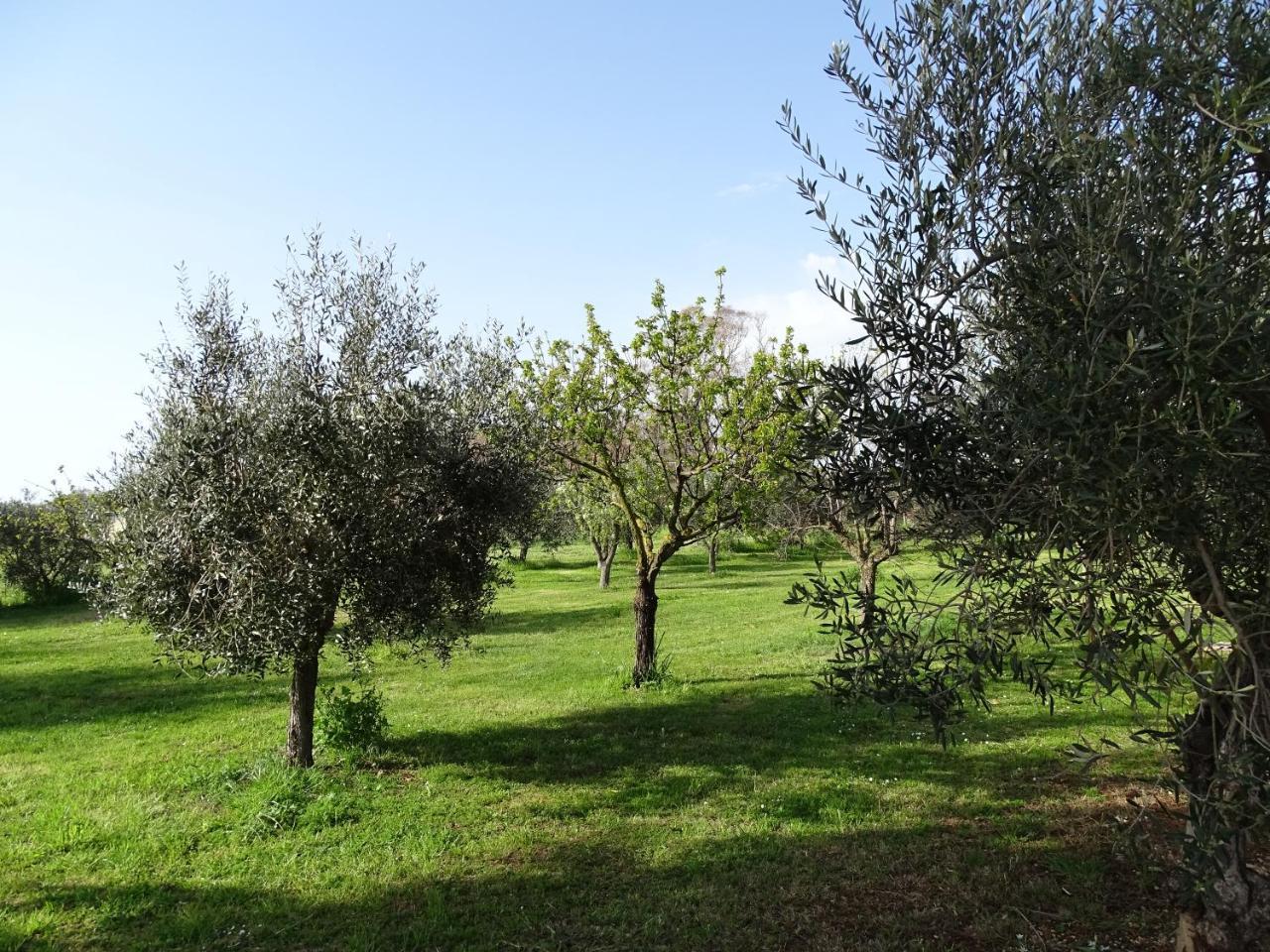 Podere 1248 Ladispoli Eksteriør billede